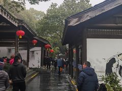 -天目湖山水园