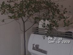 -Eu2+ coffee(上大路店)