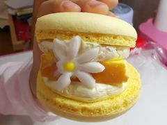 -好利来(飞跃路店)