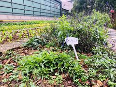 -上海佘山世茂艾美酒店