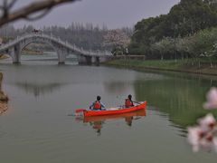 -上海海湾国家森林公园