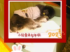 -二发烧烤(亚麻厂店)