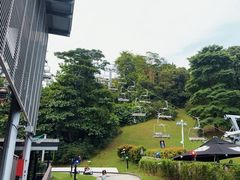 -圣淘沙天际线斜坡滑车