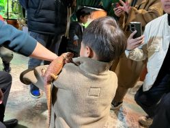 -酷嗒动物文化乐园(cutezoo西溪乐天城店)