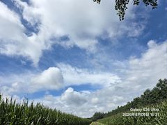 -陕拾叁-西安糕点(大雁塔店)