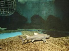 -泉城欧乐堡海洋极地世界