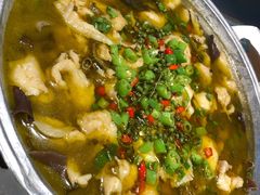 特色花椒鱼-鸡毛店·川菜(双楠店)