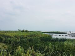 -太湖湖滨国家湿地公园-停车场