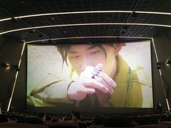 -纵横国际影城杜比全景声巨幕(天安云谷店)