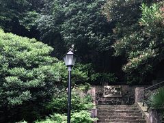 -紫金山天文台