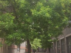 -绿地·中山里