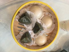 -五谷芳乳鸽王(梅沙老店)