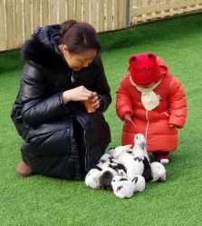 -萌宠亲子动物乐园(槐房万达店)