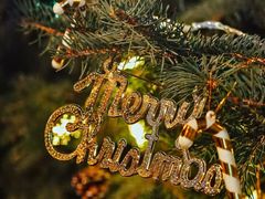 -燃厚蛋糕(卓展中信城店)