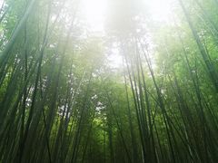 -鸡枕山