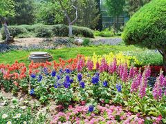 -石家庄市植物园