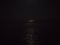 -日照海滨国家森林公园