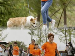 -汉长安城未央宫国家考古遗址公园