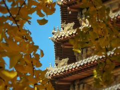 -玲珑塔公园