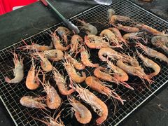 -会江钓鱼钓虾烧烤场