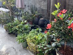 -老屋咖啡