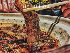 情妹耙泥鳅-情妹耙泥鳅·江湖川菜(科华店)