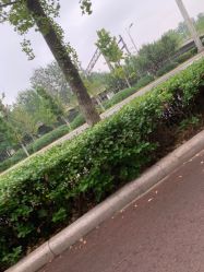 -HEYAN长风荷妍专业脱毛美肤
