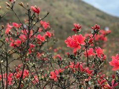 -广东天露山旅游度假区
