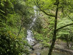 -石台牯牛降景区