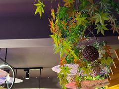 -望庐说·本地菜馆