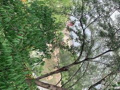 -青藏高原野生动物园