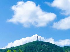 -枸杞岛