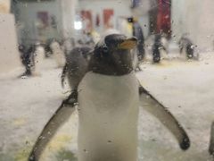 -大连圣亚海洋世界
