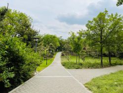 -大望京儿童游乐场