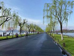 -大兴滨河森林公园