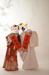 -金夫人婚纱摄影(总店)