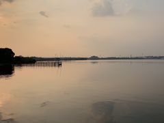 -鹅湖玫瑰文化园