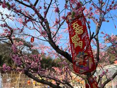 -红螺寺