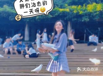 ️举报音乐台️少女捕捉被迫营业的小白鸽