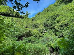 -海口火山口国家地质公园