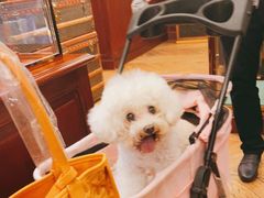 -Goyard 高雅德(国贸商城店)