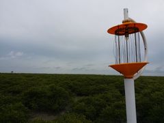 -北海金海湾红树林生态旅游区