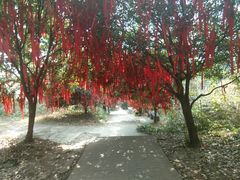 -窦圌山风景区