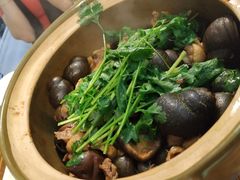 招牌必点-田螺鸡煲-食爺炭炉鸡煲·烧烤