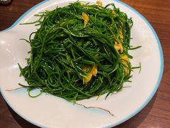 -靖远尕六美味羊羔肉