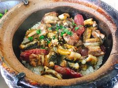 -红星光发煲仔饭(大石街店)
