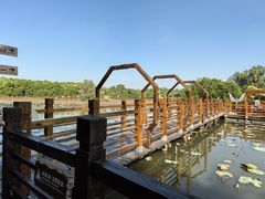 -大湾区中央湿地公园