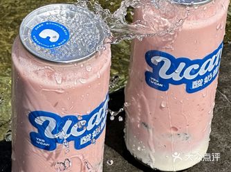 酸奶罐罐，都接到通知了吗，甘肃首家～