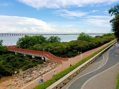 -宝安西湾红树林湿地公园