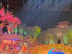 -《驼铃传奇》秀